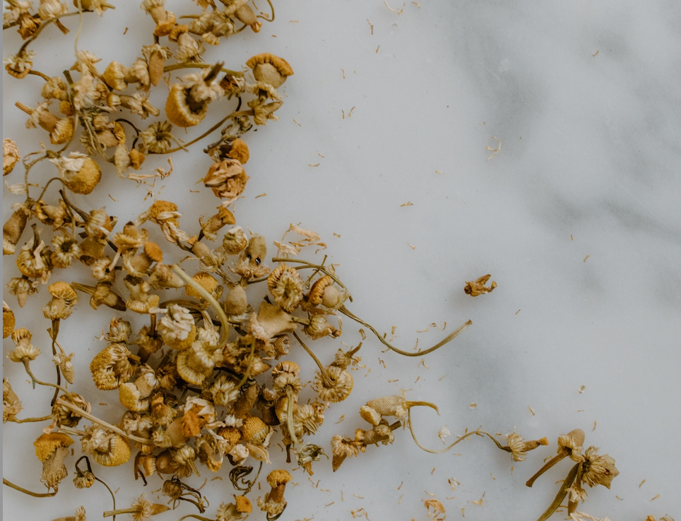 IN THE SPOTLIGHT - PATCHOULI