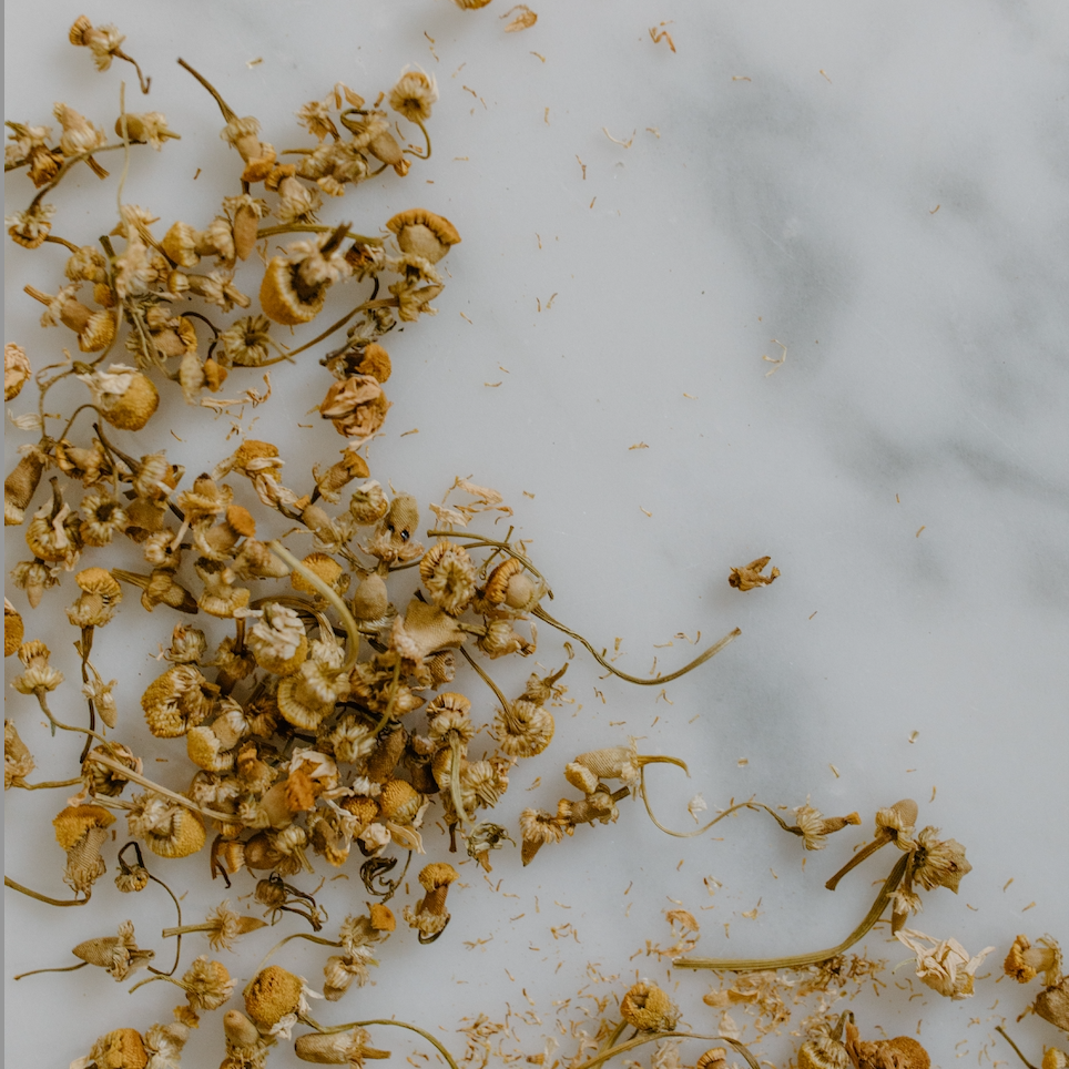 IN THE SPOTLIGHT - PATCHOULI